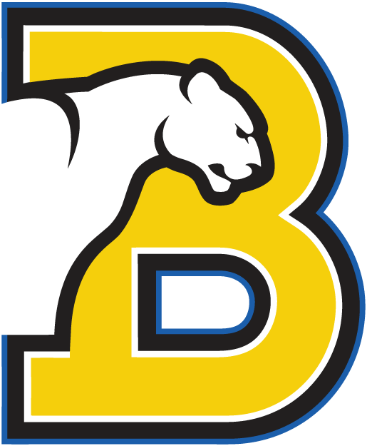 Birmingham-Southern Panthers 1991-Pres Primary Logo diy iron on heat transfer